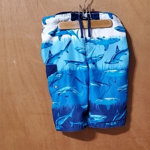 Wave Zone Boy's Swimsuit Blue and White with Sharks 🦈 Size XL 16/18